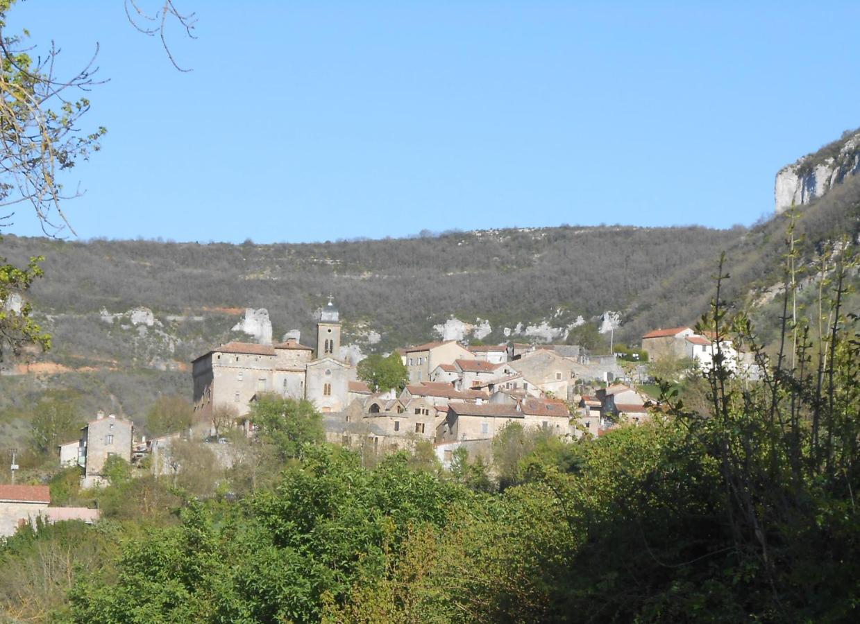 Maison Spacieuse Et Agreable Saint-Georges-de-Luzençon Buitenkant foto