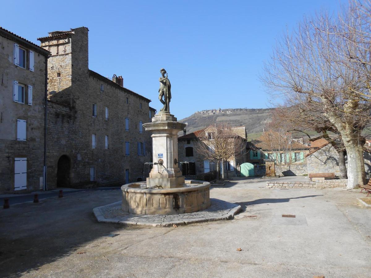 Maison Spacieuse Et Agreable Saint-Georges-de-Luzençon Buitenkant foto